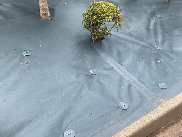 10月スタート♪　防草シート施工します。割引あり！！サービスの画像