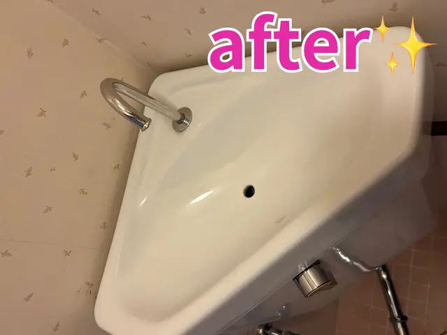 「汚くても大丈夫です！」女性スタッフのトイレ掃除｜丁寧な対応・水回りまとめてOKサービスの画像