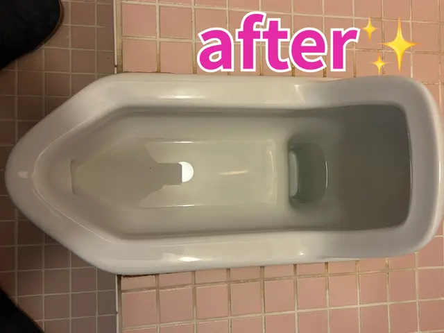 「汚くても大丈夫です！」女性スタッフのトイレ掃除｜丁寧な対応・水回りまとめてOKサービスの画像