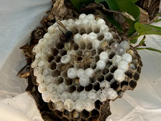 最短即日対応！営業時間外・対応地域外のご相談OK！サービスの画像