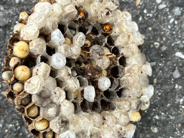 最短即日対応！営業時間外・対応地域外のご相談OK！サービスの画像