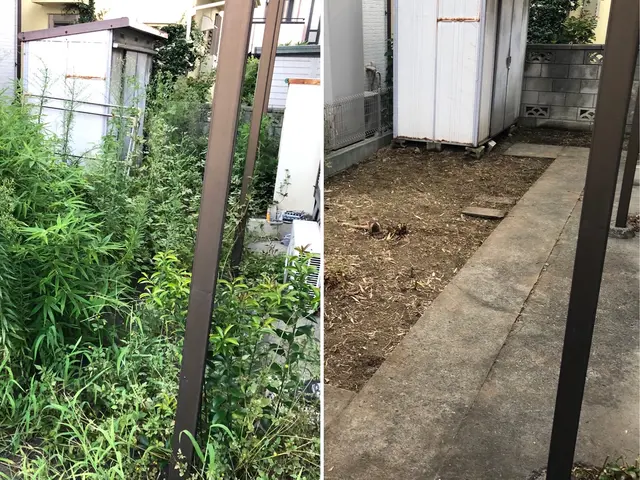 ★期間限定除草剤散布無料★広い敷地もお任せください！サービスの画像