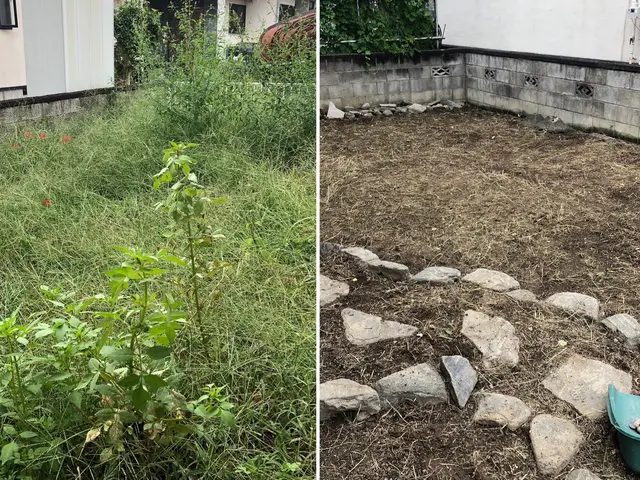 ★期間限定除草剤散布無料★広い敷地もお任せください！サービスの画像