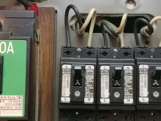 《東京、神奈川、埼玉》ゴキブリ駆除は当社にお任せ下さい！安心のアフターフォロー！サービスの画像