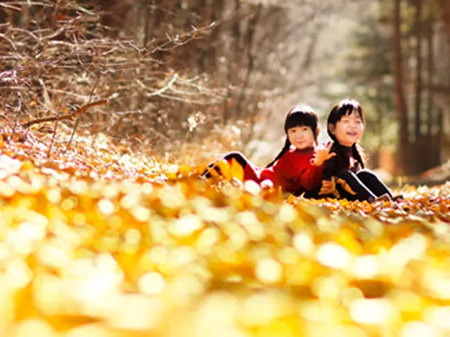 ＜大切な記念写真＞現役プロによる「一生に一度の瞬間」