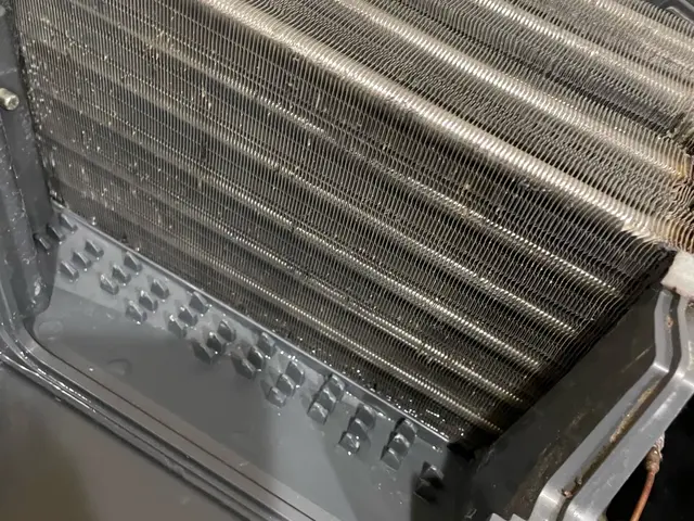 セール開催中《Panasonic専門》丁寧な作業で洗濯機をお掃除☆１１月空き有☆サービスの画像