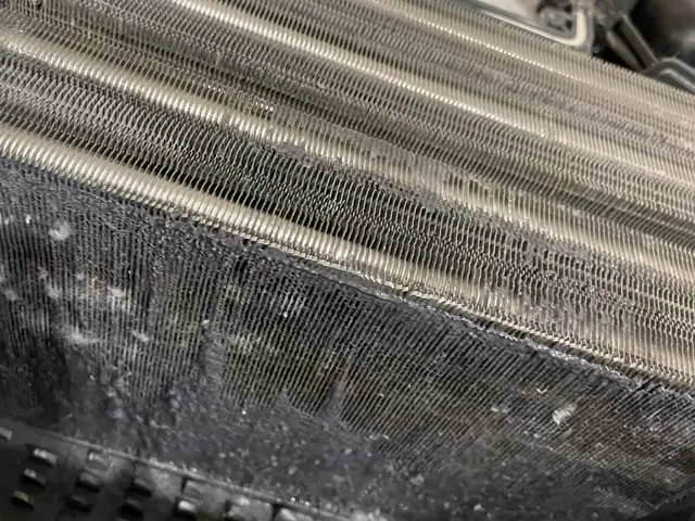 セール開催中《Panasonic専門》丁寧な作業で洗濯機をお掃除☆１１月空き有☆サービスの画像