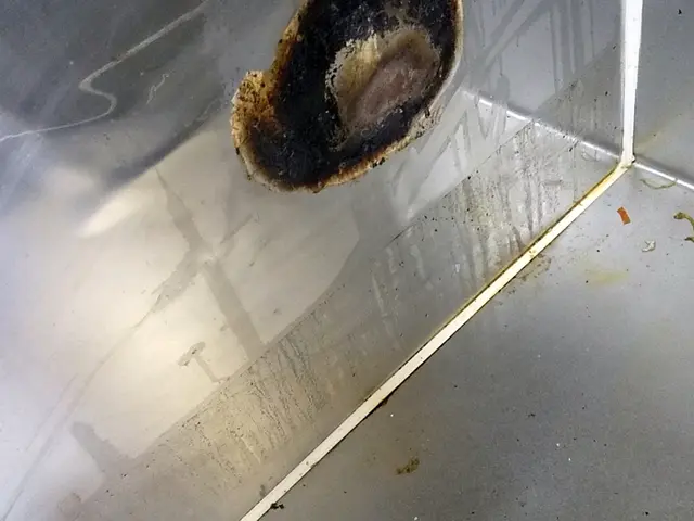 【ハウスクリーニング士在籍】万が一の保険加入済み◇責任持って作業します◇サービスの画像