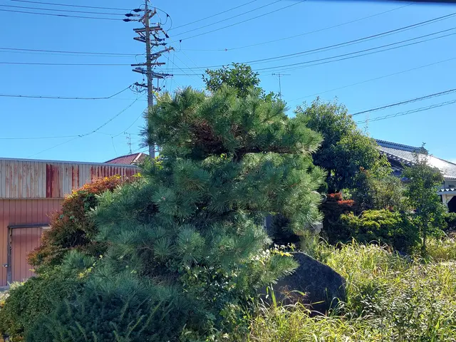 ◆迅速丁寧な対応を心がけています◆営業時間外も対応可能です！お任せくださいサービスの画像