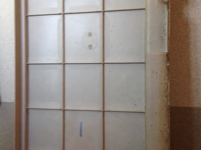 掃除一筋28年女性店長が伺うお風呂掃除！サービスの画像