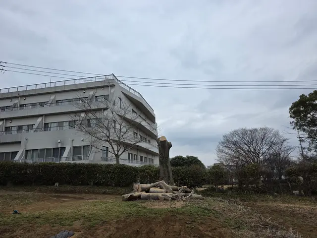 【追加料金なし】プロの伐採・抜根！庭木1本から大木まで丁寧・スピーディーに対応サービスの画像