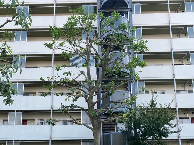 作業外注一切なし◎公共仕事での経験7年あり◎サービスの画像