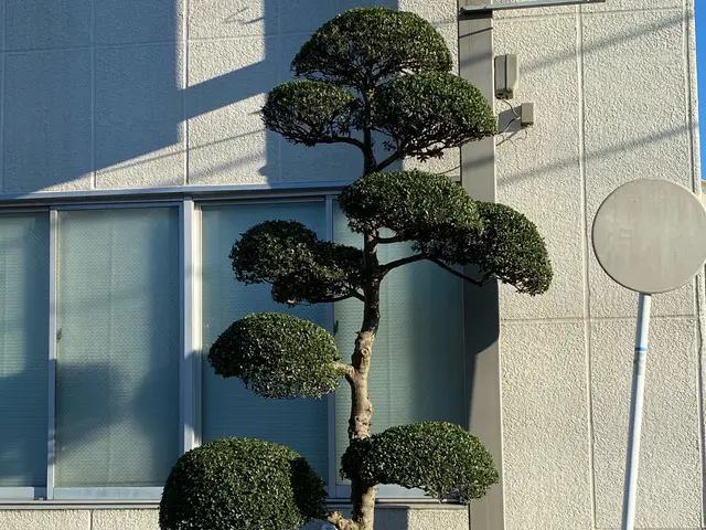 作業外注一切なし◎公共仕事での経験7年あり◎サービスの画像