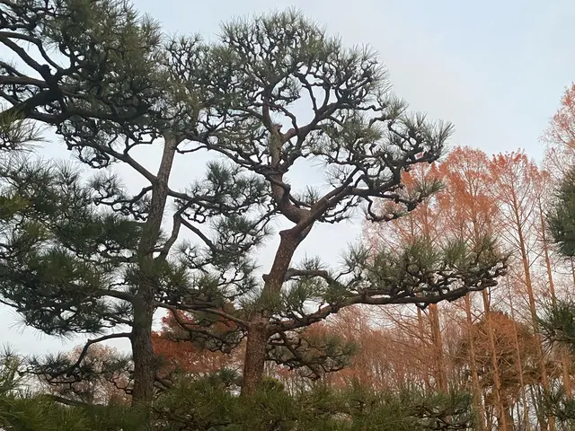 作業外注一切なし◎公共仕事での経験7年あり◎サービスの画像