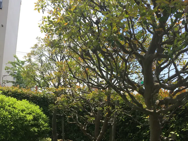 作業外注一切なし◎公共仕事での経験7年あり◎サービスの画像