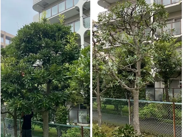 作業外注一切なし◎公共仕事での経験7年あり◎サービスの画像