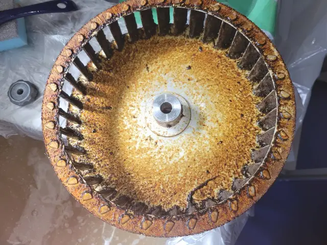 ココロもカラダも健康に！お子様やペットにも安心の環境や人に優しい洗剤を使用！サービスの画像