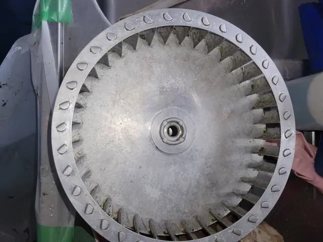 ココロもカラダも健康に！お子様やペットにも安心の環境や人に優しい洗剤を使用！サービスの画像