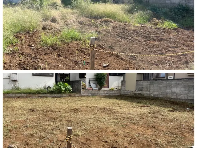 【越谷発】植木屋が丁寧に素早く草刈り致します！ご依頼お待ちしております！サービスの画像