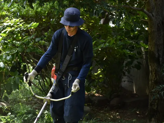 【越谷発】植木屋が丁寧に素早く草刈り致します！ご依頼お待ちしております！サービスの画像