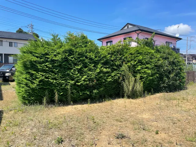 伐採や枝落としサービスの画像