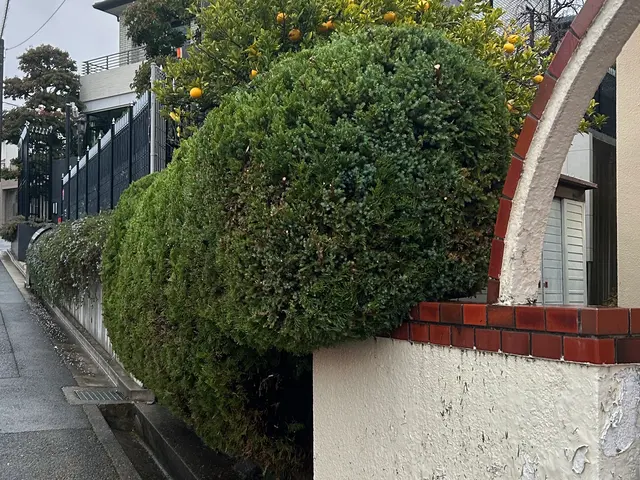 【お庭をスッキリ綺麗に】迅速丁寧に対応いたします！サービスの画像