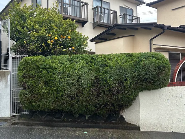 【お庭をスッキリ綺麗に】迅速丁寧に対応いたします！サービスの画像