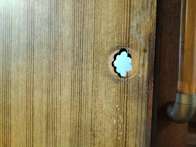 ※穴補修対象外※クローゼット開き戸や室内ドアの蝶番ドアクローザー調整や交換も可能サービスの画像