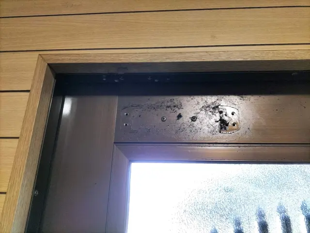 ※穴補修対象外※クローゼット開き戸や室内ドアの蝶番ドアクローザー調整や交換も可能サービスの画像