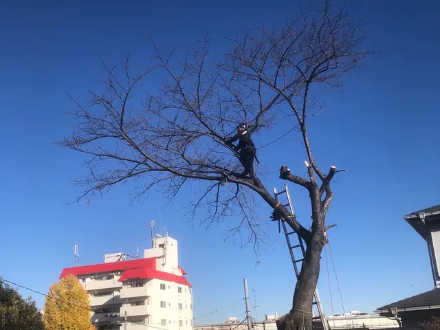 ライフツリーサービスの画像