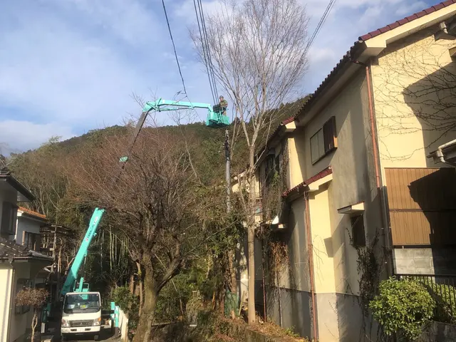 ライフツリーサービスの画像