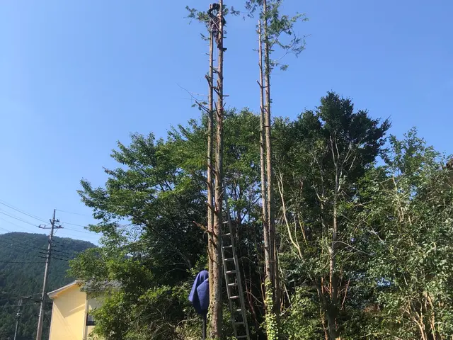 ライフツリーサービスの画像