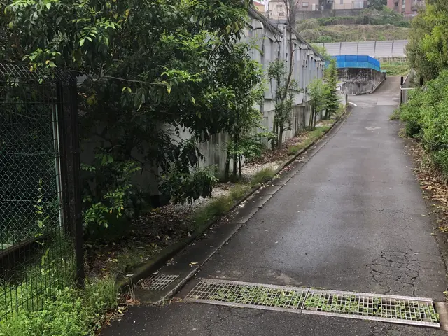 ライフツリーサービスの画像