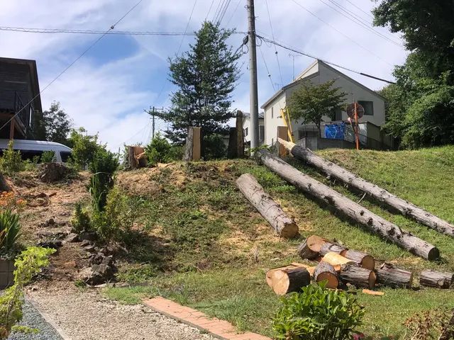 ライフツリーサービスの画像