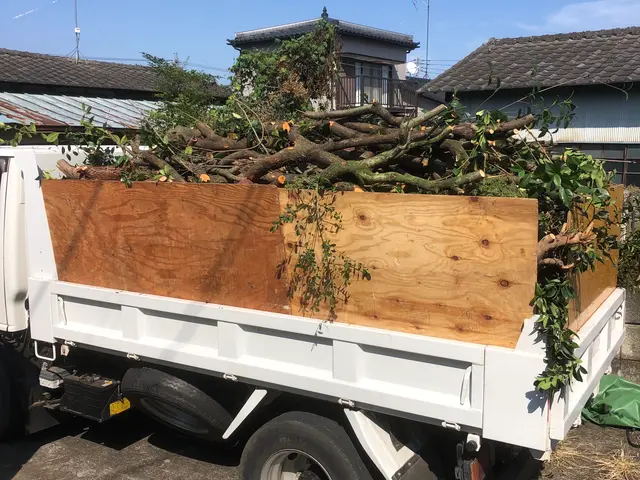 ライフツリーサービスの画像