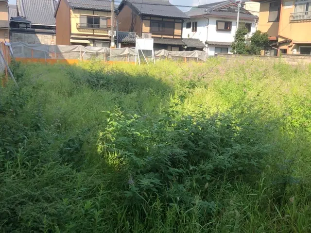 綺麗に早く安くやらせて貰います！空き地　荒地　空家　施設　太陽光用地など対応可能サービスの画像