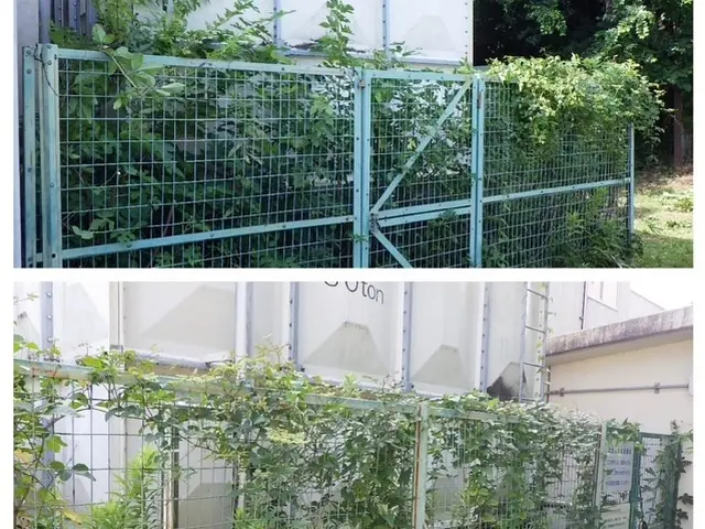 【非喫煙者の夫婦でお伺いします◎】経験実績豊富なプロにお任せください。サービスの画像