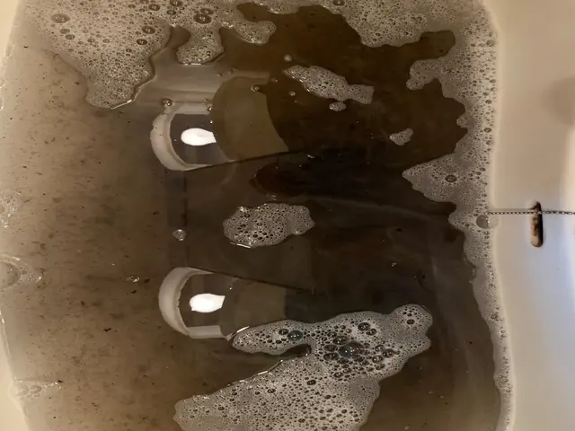 【宇都宮発】複数台割引★しっかり洗浄丁寧作業致します★現在お掃除機能付き対応不可サービスの画像