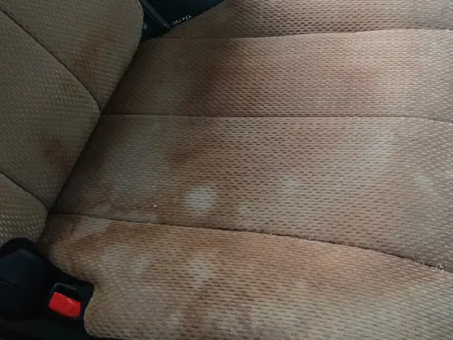 シートも洗ってほしいサービスの画像