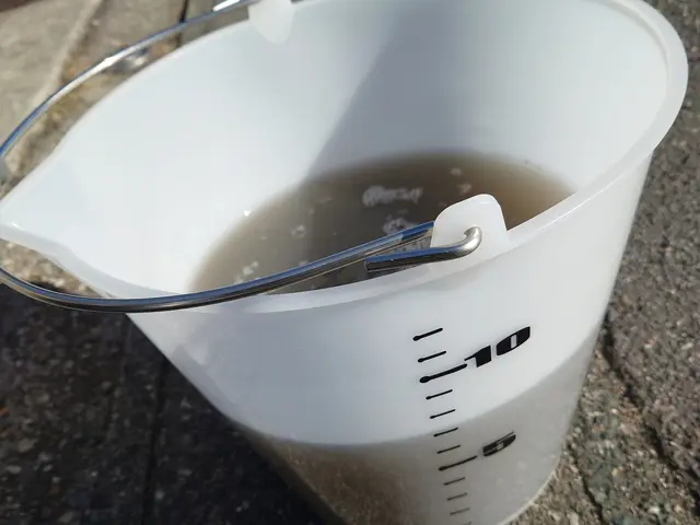 シートも洗ってほしいサービスの画像