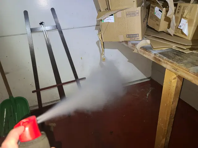 チョウバエ駆除サービスの画像