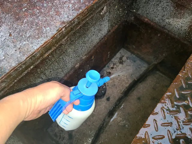 チョウバエ駆除サービスの画像