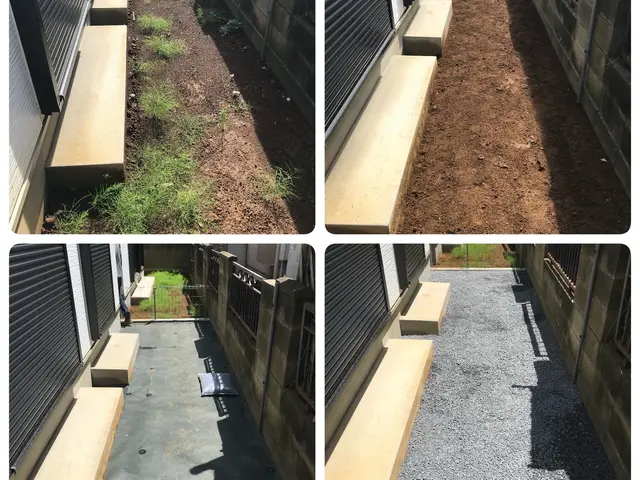 明るいお庭作り♪  お客様ファーストでご提案します！まずはお気軽にご相談くださいサービスの画像