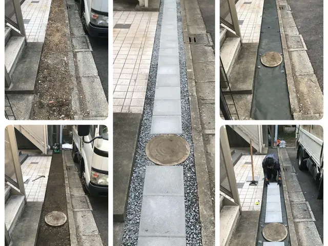 明るいお庭作り♪  お客様ファーストでご提案します！まずはお気軽にご相談くださいサービスの画像