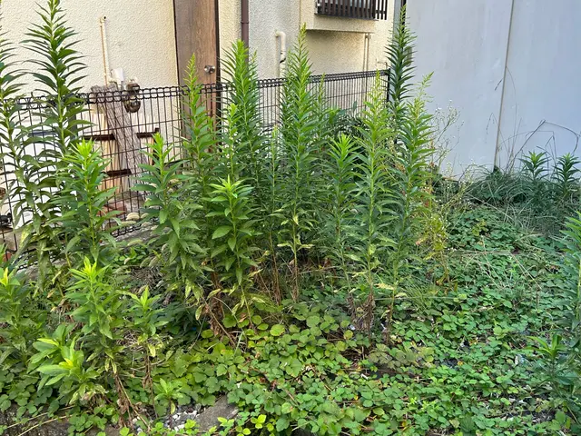 ◎無人対応可　◎千葉県成田発　◎年中無休　◎対応の速さには自信がありますサービスの画像