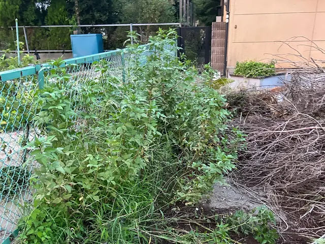 ◎無人対応可　◎千葉県成田発　◎年中無休　◎対応の速さには自信がありますサービスの画像