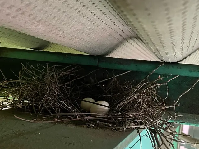 【業歴30年の実績】完全自社対応！営業時間外も対応可◎アフターフォローも万全サービスの画像