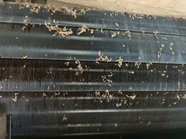 「年間1,000台以上！家電のプロが丁寧に説明しながら、安心の仕上がりをお約束」サービスの画像