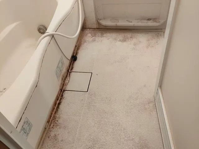 【ハウスクリーニング士在籍】損害保険加入済みサービスの画像