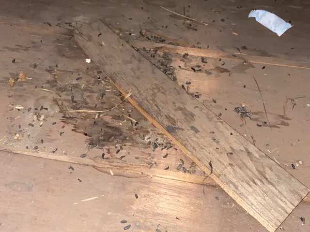 24時間、緊急依頼大歓迎！侵入経路を調査し、お客様に寄り添ったご対応を致します！サービスの画像